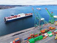 愛達郵輪：應客戶要求，取消停靠日本